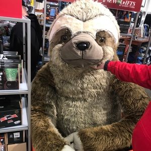 Meet your Posher, Ally